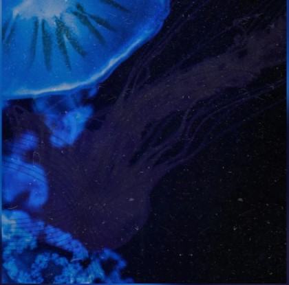 Abyssopelagic – Mábura e Lagarto Rei
